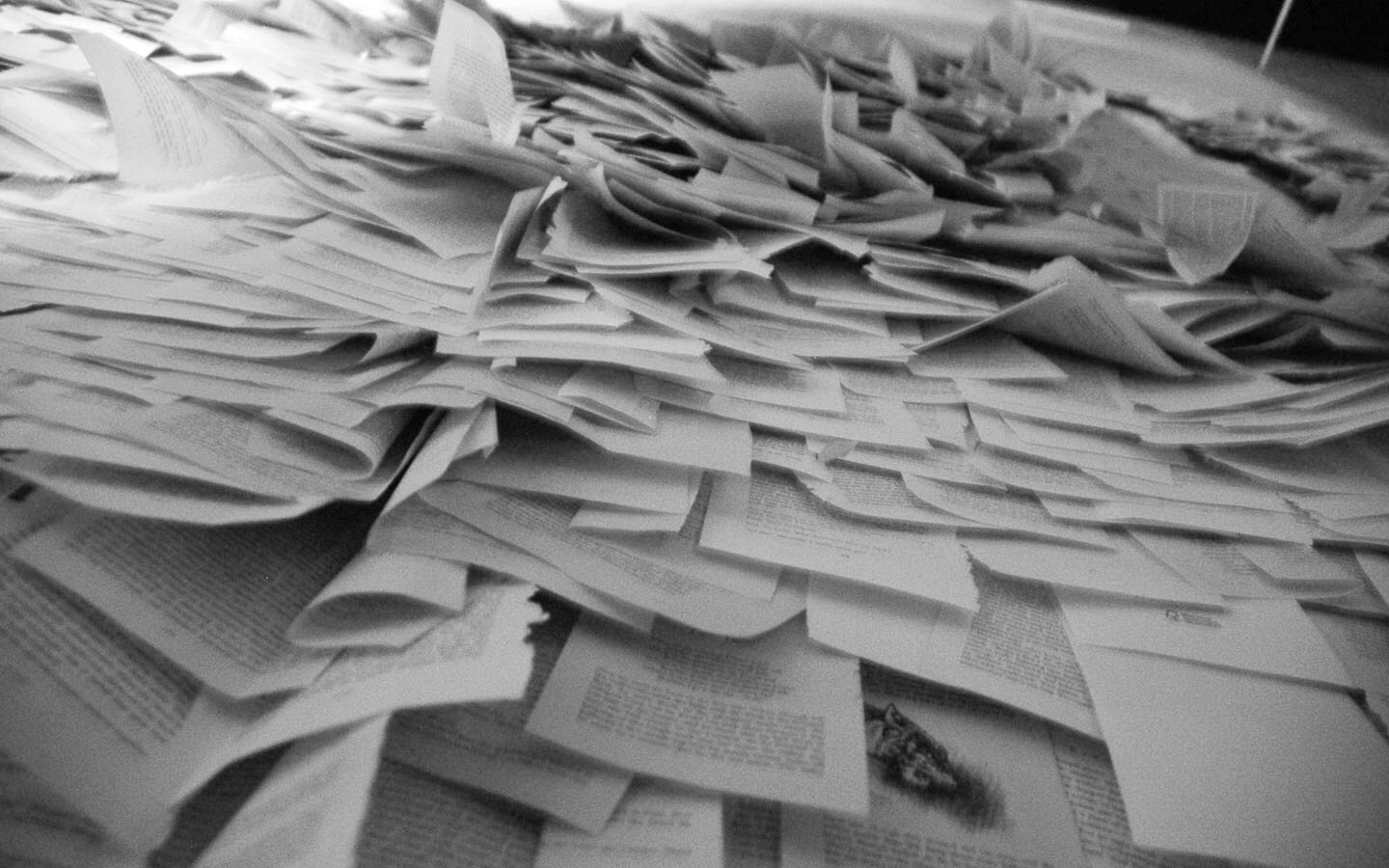 Pages from a book scattered about